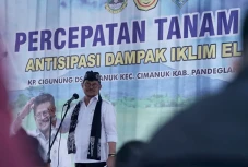 Pasokan Beras Dipastikan...