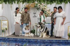 Pesta Mewah Pernikahan...