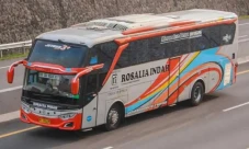5 Fakta Rosalia Indah,...