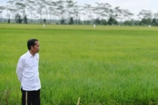 Jokowi Siapkan Jurus...