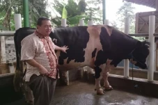 Mengintip Rumah Doa...