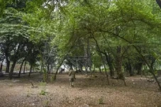 Hutan Kota UKI Cawang...
