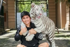 Buntut Kematian Harimau...