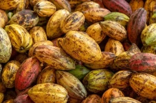 Makanan yang Menurunkan...