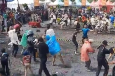 Perang Tomat di Lereng...
