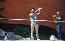 5 Alasan Mengapa Swedia-Denmark...