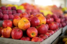 Diabetes, Konsumsi Buah...