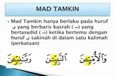 Mad Tamkin: Pengertian,...
