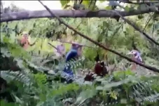 Ngeri! Saling Tombak...