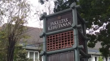 Bekerja di Mana Lulusan...