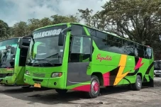 9 PO Bus Populer di...