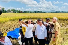 Jokowi Tegaskan Tak...