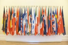 Bukan BRICS, tapi Organisasi...