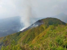 Polisi Selidiki Penyebab...