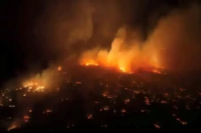7 Kebakaran Hutan Terburuk...