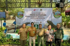 6 Ekor Komodo Dilepaskan...
