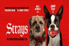 Review Film Strays:...