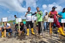 Tanam Mangrove di Pesisir...
