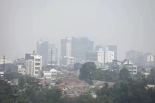 WFH ASN Jakarta, Peneliti...