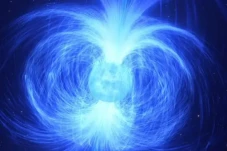 Zombie Star, Bintang...