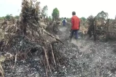 Lahan 3 Hektare di Banyuasin...