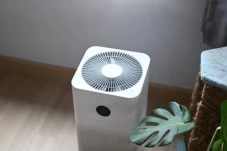 Air Purifier vs Tanaman...