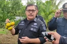 Antisipasi Dampak El...