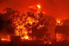 Kebakaran Hutan di Yunani...