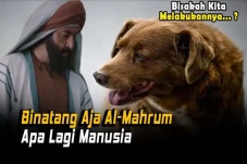 Kisah Khalifah Umar...
