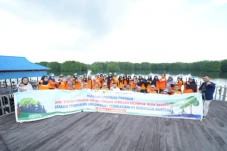 Manfaat Konservasi Mangrove...