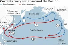 Alasan Jepang Buang...