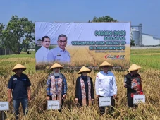 Kementan Pastikan Stok...