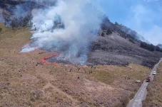 Kebakaran Hutan TNBTS...