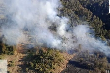 Gunung Arjuno Terbakar,...