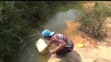 Alami Kekeringan Ekstrem,...