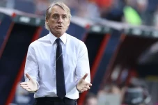 Fabio Cannavaro Kritik...