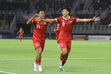 Dendy Sulistyawan Cetak...
