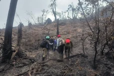 Kebakaran Gunung Arjuno...