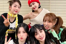 Profil Apink, Girlband...