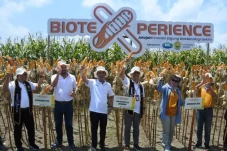 Produktivitas 10% Lebih...