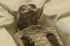 Jasad Makhluk Berjari...