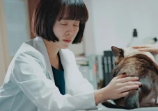 Rekomendasi 7 Drama...