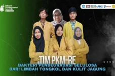 Urai Limbah Jagung,...