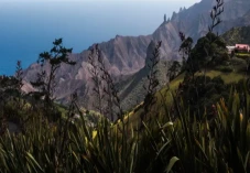 Fakta Menarik Pulau...
