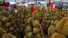 Peluang! Permintaan...