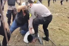Viral! Polisi Terekam...