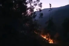 Kobaran Api Melalap...