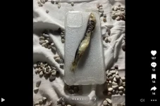 Antimainstream, Casing...