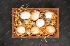 7 Telur Hewan yang Dapat...