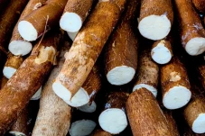 10 Makanan yang Tidak...